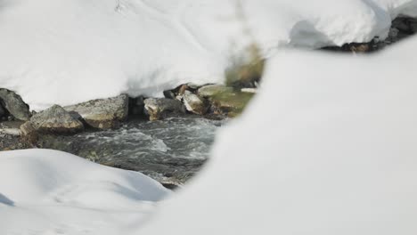 winter landscape in the mountains with a spring