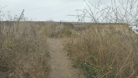 Slow-Motion-walk-through-tall-dry-grass-on-pacific-coast-cliff-trail-dirt-path-on-overcast-summer-day