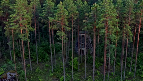 un molino abandonado escondido entre los árboles en un bosque