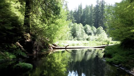 passing under a wooden bridge, lush green forest reflects off calm mountain creek water, aerial