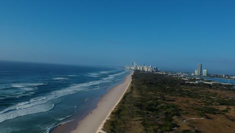 aerial view of a popular beach near a large area of green space with a sprawling city skyline in the distant