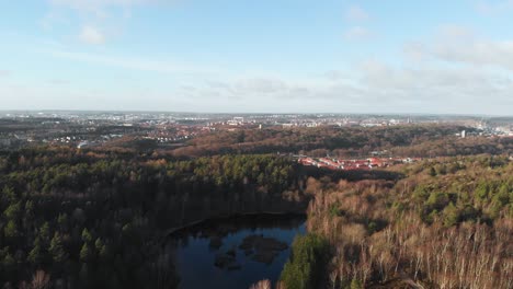 Beautiful-Nordic-Nature-Landscape-of-Sweden's-Forests---Aerial