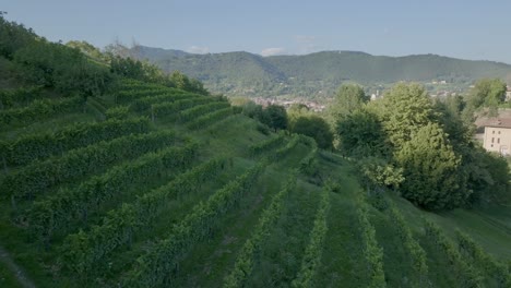 Ein-Kleiner-Weinberg-In-Der-Nähe-Der-Stadt-Bergamo,-Italien