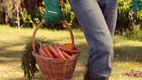 Farmer-with-basket-of-carrot