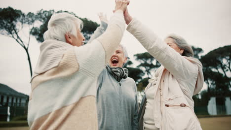 high five, celebration and group of senior friends