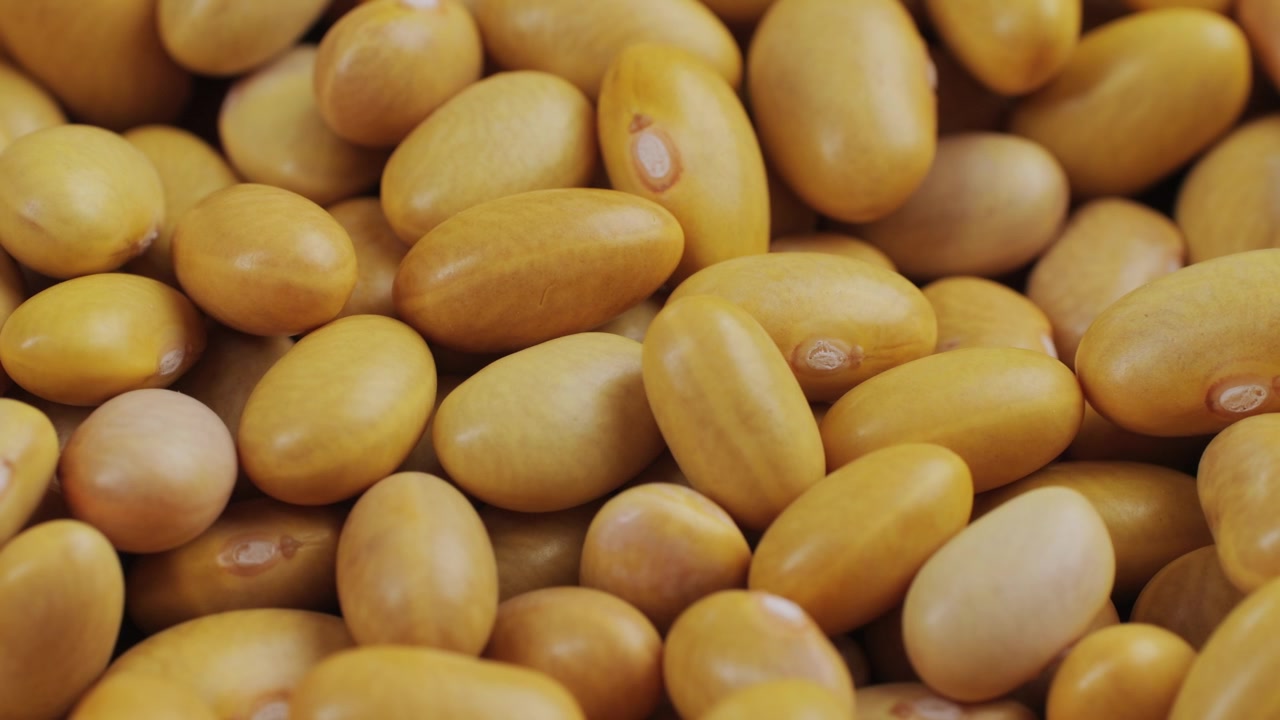 Close-up of Dry Yellow Beans