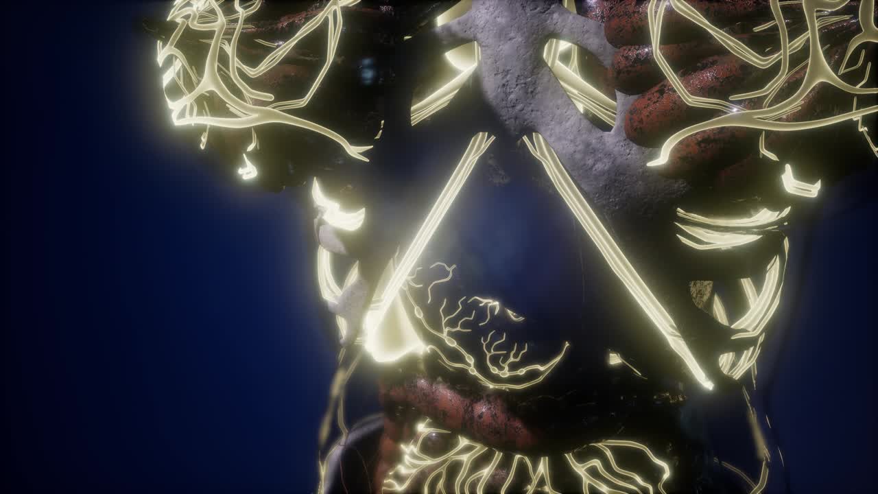 빛나는 혈관으로 된 인체