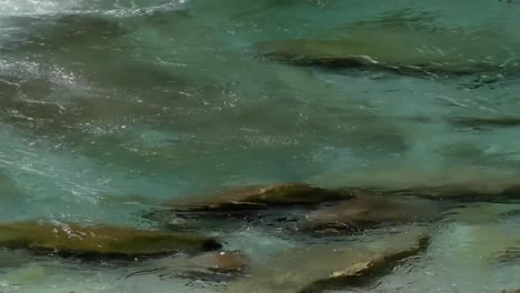 Reiner-Gebirgsfluss-Fließt-über-Die-Felsen