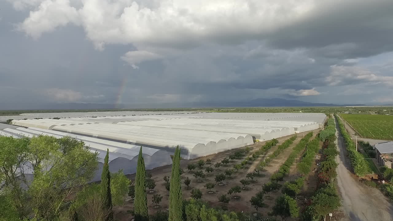 este es un paisaje mexicano de un vivero con variedades de vegetales fotografiados con un dron dji