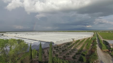 這是一個墨西哥的園圃風景,有各種蔬菜,用dj無人機拍攝