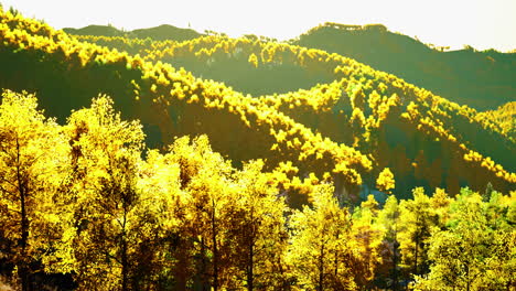 view on autumn forest in mountains and blue sky of switzerland