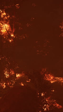 fiery wildfire engulfs trees at night