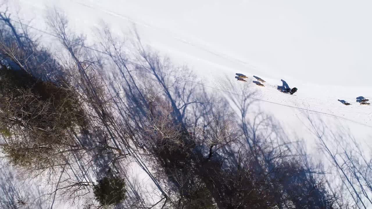 personas que viajan mediante el uso de trineos tirados por perros