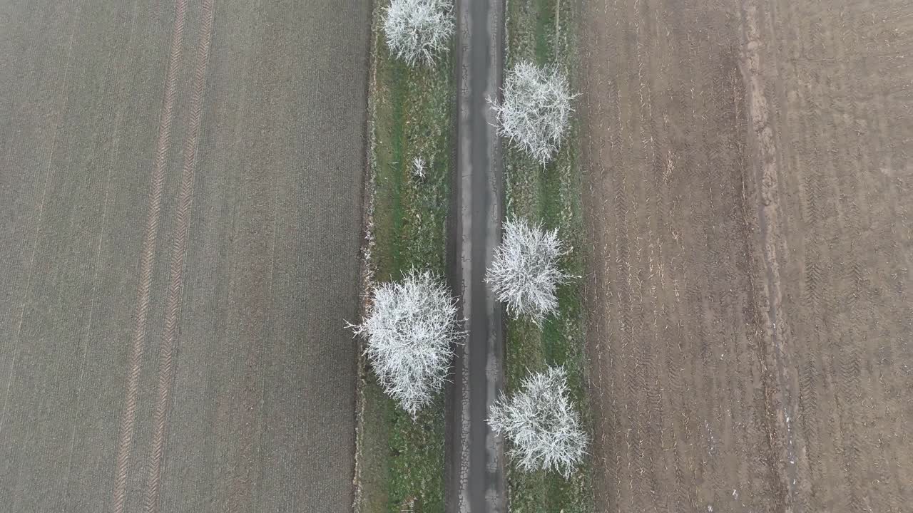 White frozen and icy trees along road in rural area of american countryside. Cold winter day with brown farm fields. Aerial top down shot. Cloudy day in America.