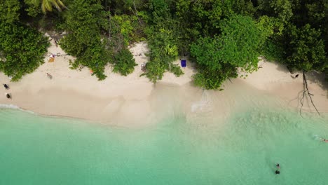 Insel-Cayo-Zapatilla,-Bocas-Del-Toro,-Panama