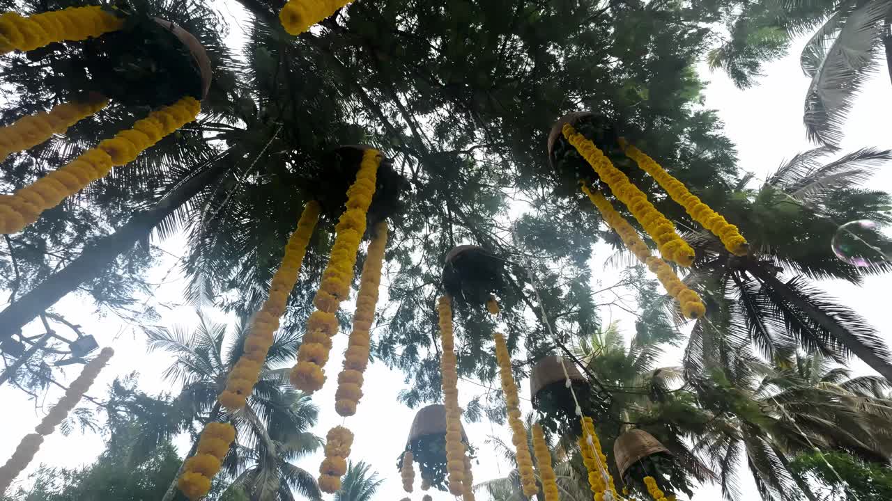 Looking Up On Marigold Flower Garland Hanging On The Tree - Diwali Decoration Party Decor For Hindu Wedding.