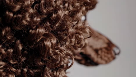 close-up of curly brown hair