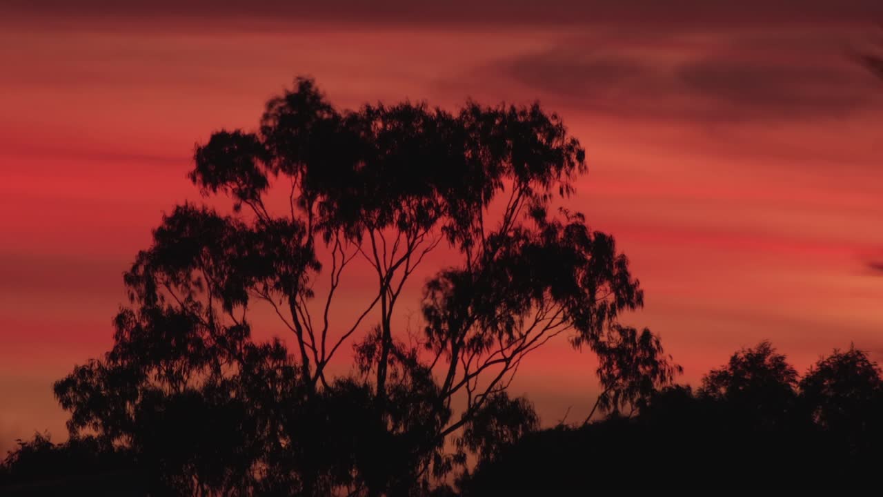 Australian Sunset Timelapse With Beautiful Bold Vivid Red Pink Orange Sky With Gum Trees, Maffra, Gippsland, Victoria, Australia