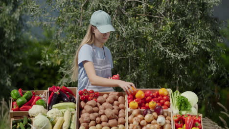 a teenage girl sells seasonal vegetables at a farmers' market. arranges vegetables on the counter