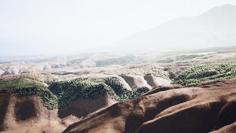 Wide-view-of-California-desert