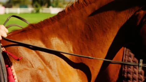 Friends-riding-horse-in-ranch-4k