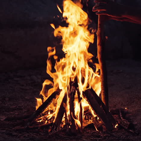 a man near the fire in the evening. burning wood. slow motion
