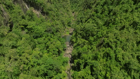 cañón san cristóbal montañas puerto rico bosque tropical en un día soleado 5