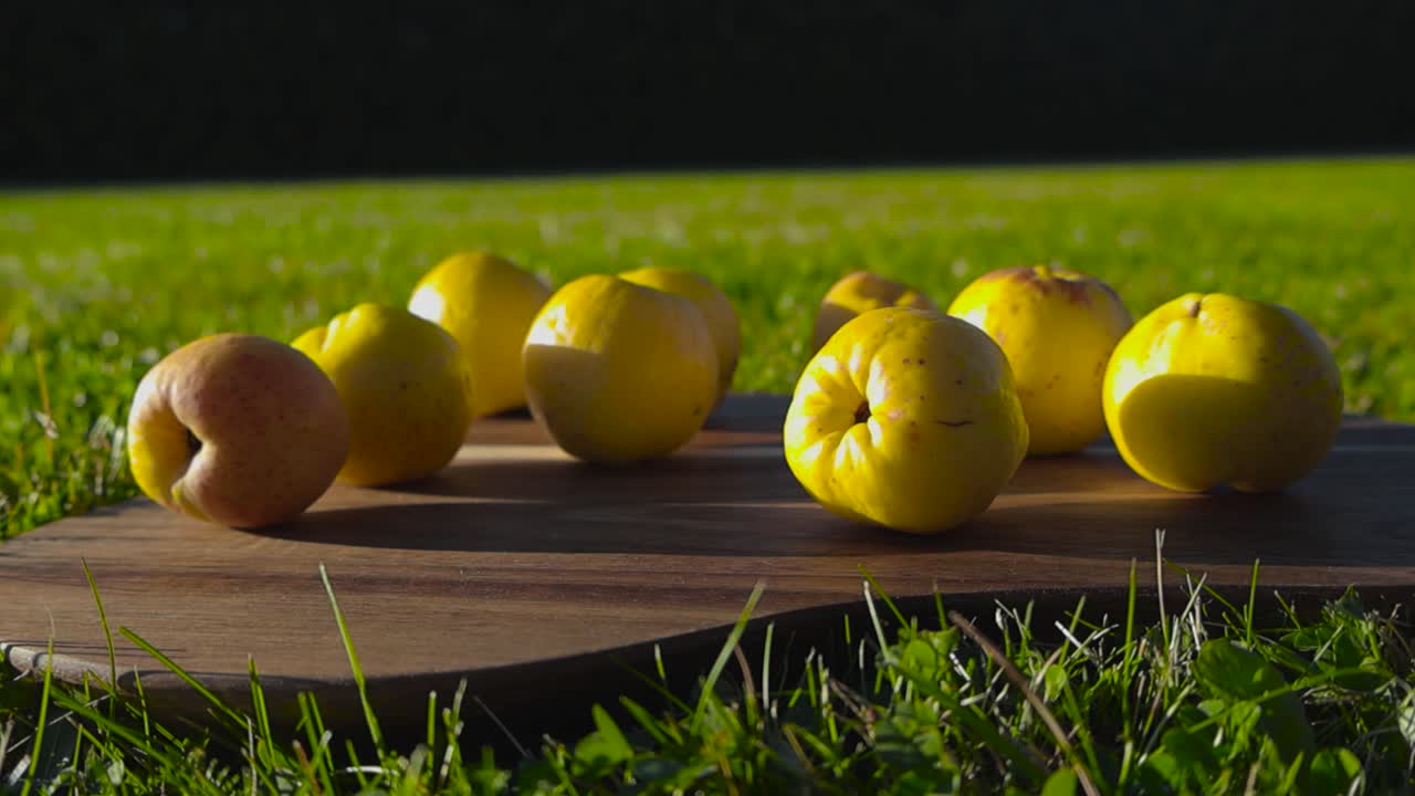 Ripe Quinces on Wooden Board in Sunny Grass