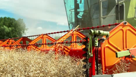 farmer on harvester machine cuts crop in field