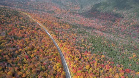 high aerial view of changing leaves and scenic highway in autumn