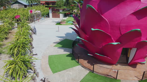 aerial drone view of a dragon fruit garden in bagan lalang, malaysia