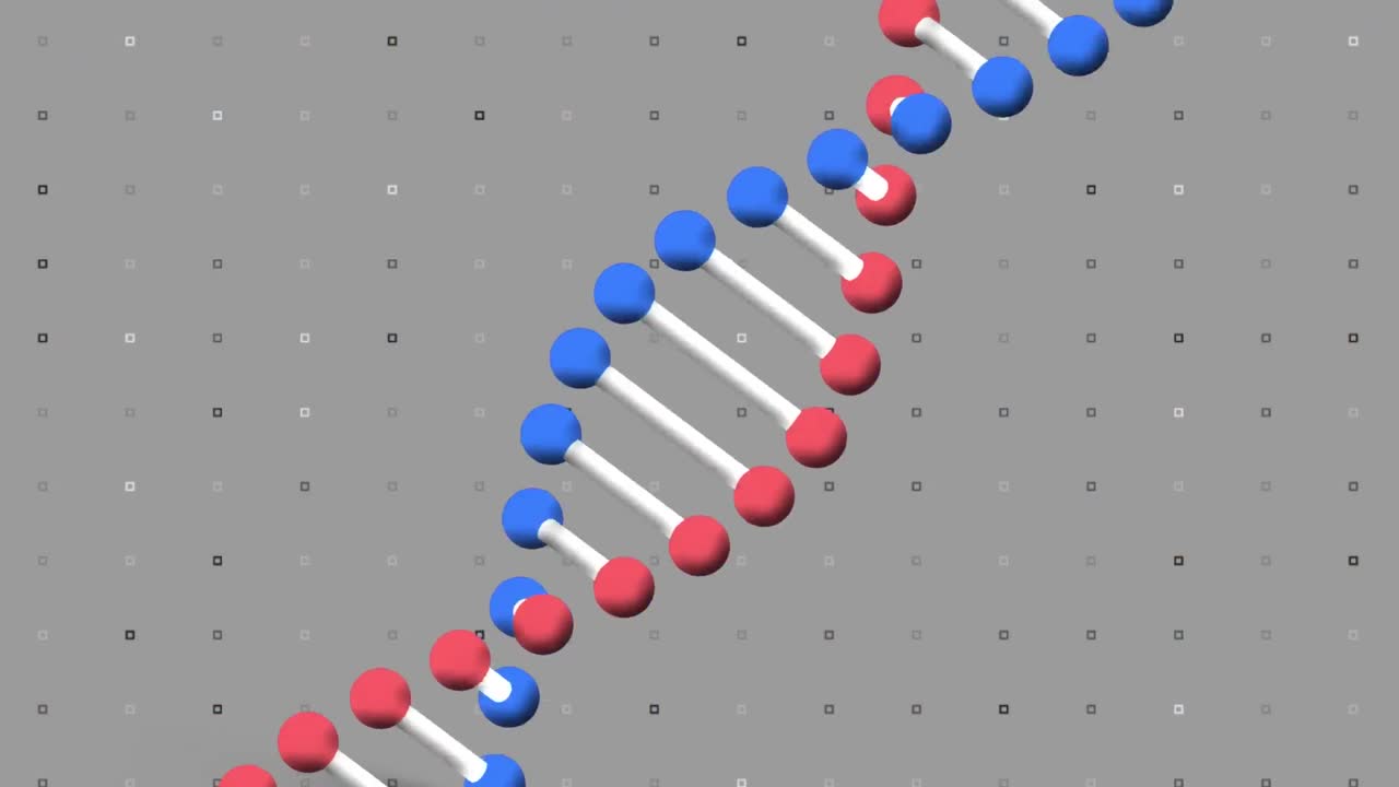 회색 배경 위에 있는 dna 가닥의 애니메이션