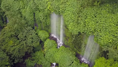 La-Naturaleza-No-Nos-Necesita-A-Las-Personas