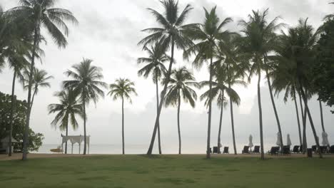 luxury beach lounge beds with umbrella on green