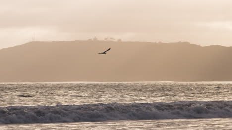 Camera-Follows-Seagull-Flying,-Screen-Left-To-Screen-Right,-In-Slow-Motion-On-Coronado,-California,-Beach-At-Sunset