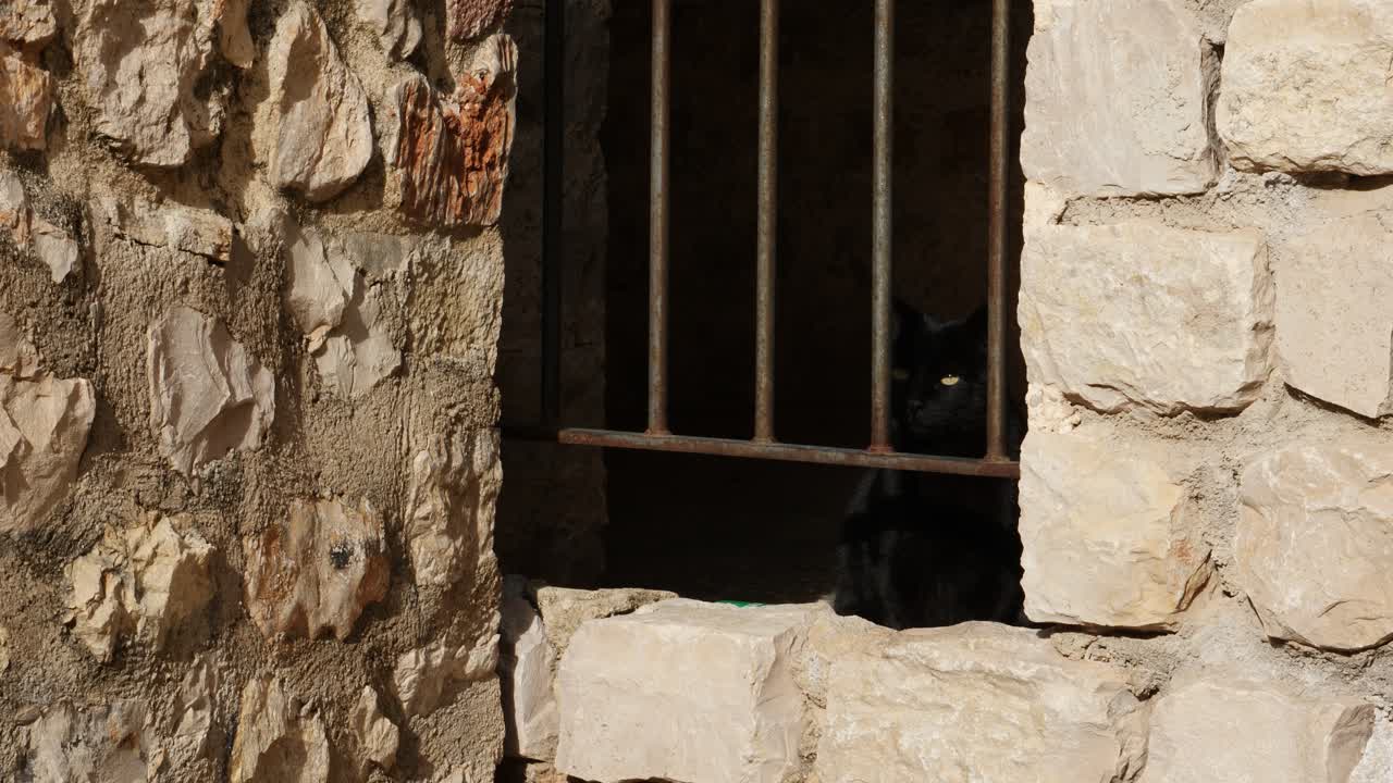 Un gatto nero dietro le sbarre di una finestra in un muro di pietra.