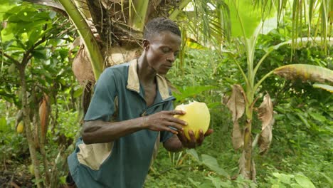 Un-Joven-Africano-Negro-Cortando-Y-Bebiendo-Agua-De-Coco-En-La-Selva-De-Cerca-En-Cámara-Lenta