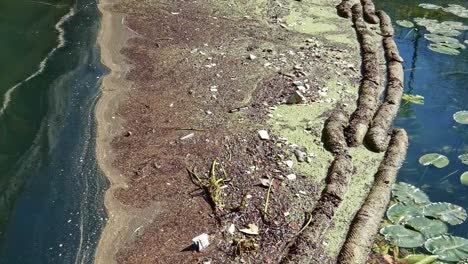 Cámara-Que-Se-Eleva-Para-Mostrar-Una-Barrera-De-Contaminación-Del-Agua-Y-Escombros-Flotando-En-Un-Río