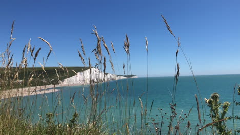 view of the white cliffs at bishopstone on the south coast of england, shot between through grass from the edge of another cliff