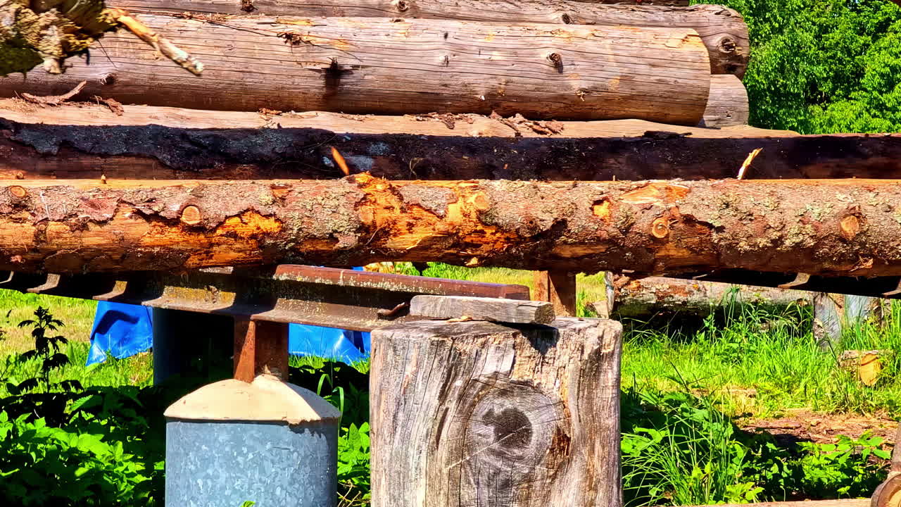 Industrial Log Loader Gripping Pine Trunks and Placing on Ramp During Timber Handling Process