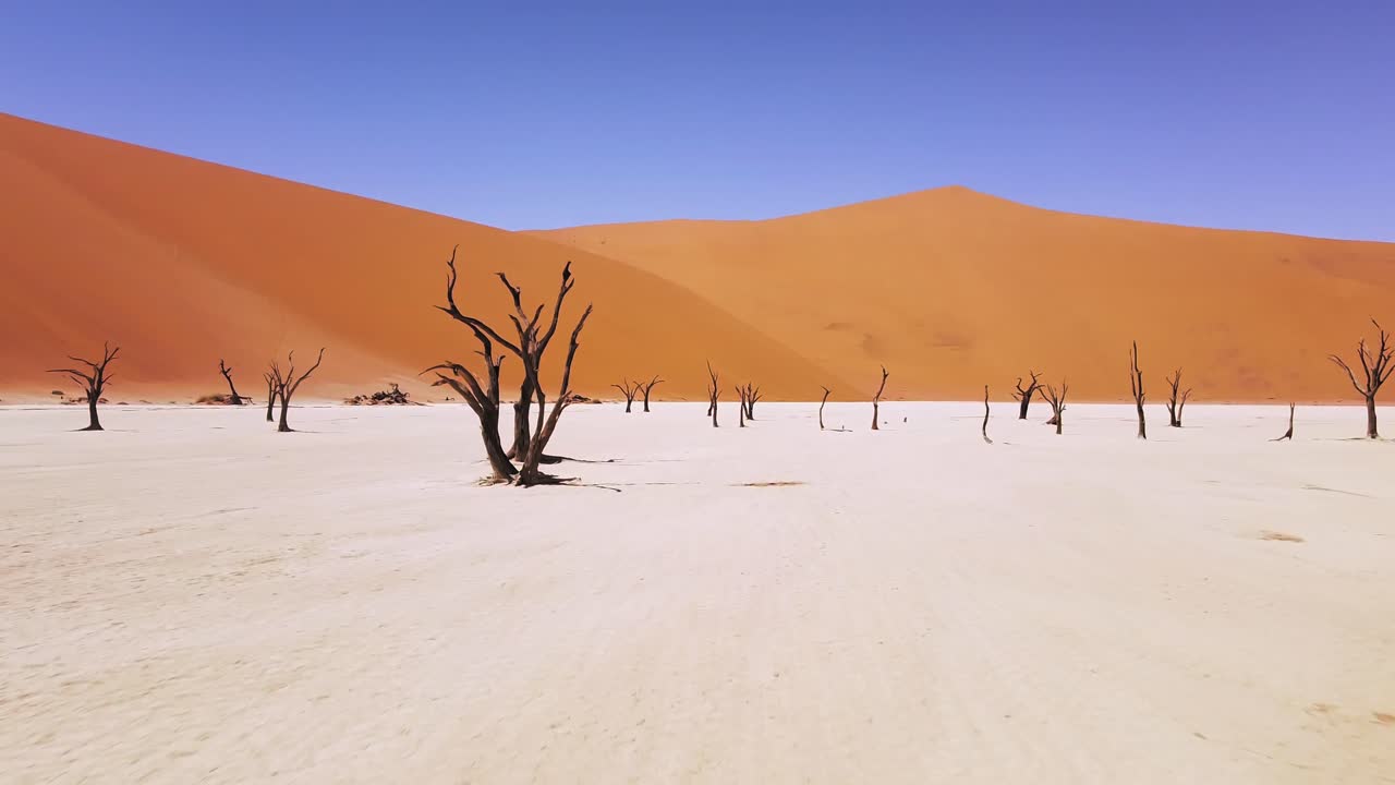 4K Drone Flying Through Dead Camel Thorn Trees in Deadvlei, near Sossusvlei, Namib-Naukluft Park, Namibia