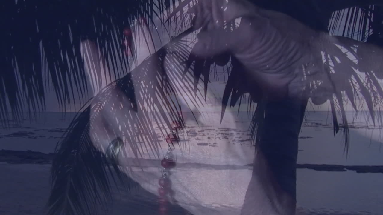 Palm tree silhouette with serene ocean view, animation of dusk setting sun