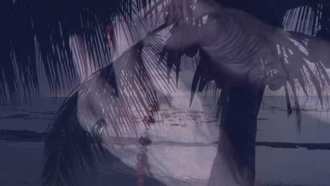 Palm tree silhouette with serene ocean view, animation of dusk setting sun