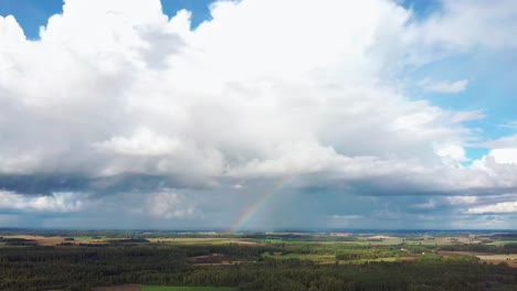 El-Arco-Iris-Sobre-El-Campo-De-Cultivo-Con-Trigo-Floreciente,-Durante-La-Primavera,-Vista-Aérea-Bajo-Nubes-Pesadas-Antes-De-La-Tormenta