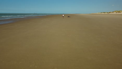 Person Walking on Beach with Bicycle