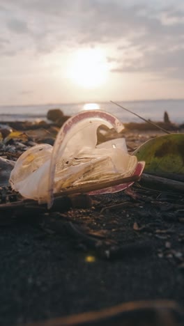 volunteers inspire change by cleaning up pollution along the coast at sunset