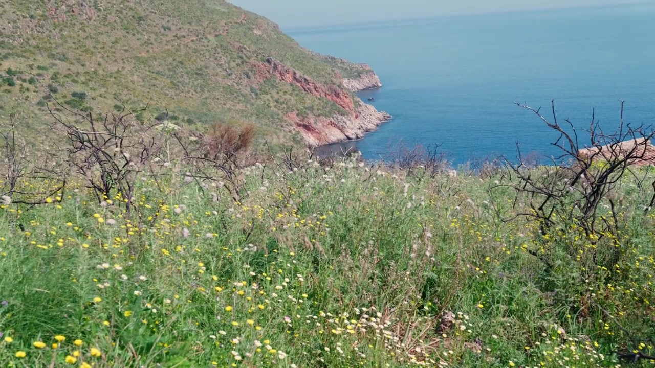 Scogliere sbiancate dal sole striate di minerali rossi si incurvano attorno a una baia di un blu profondo sulla costa della Sicilia, incorniciate da erbe selvatiche secche, ideali per riprese di viaggio e natura.
