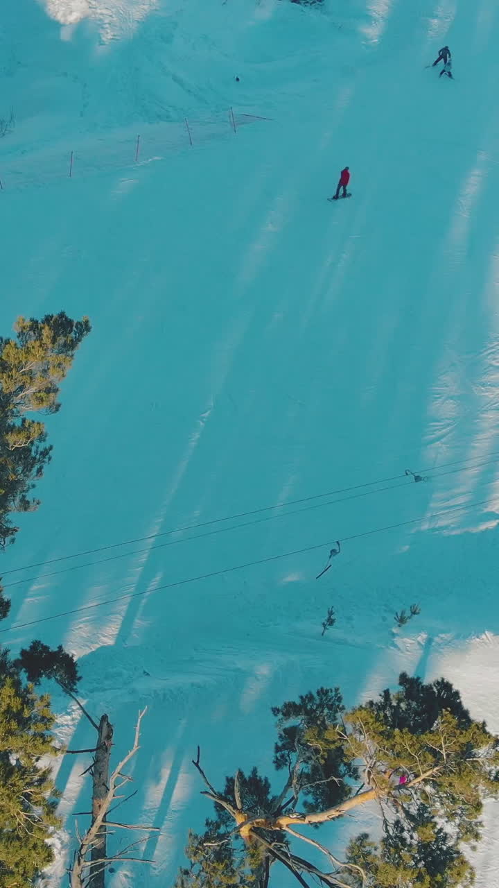 people go skiing and ride snowboards along wide track among pine trees at winter resort bird eye view