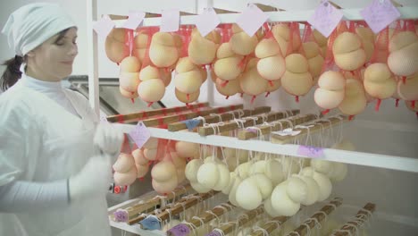cheese production facility - staff hanging and storing cheese