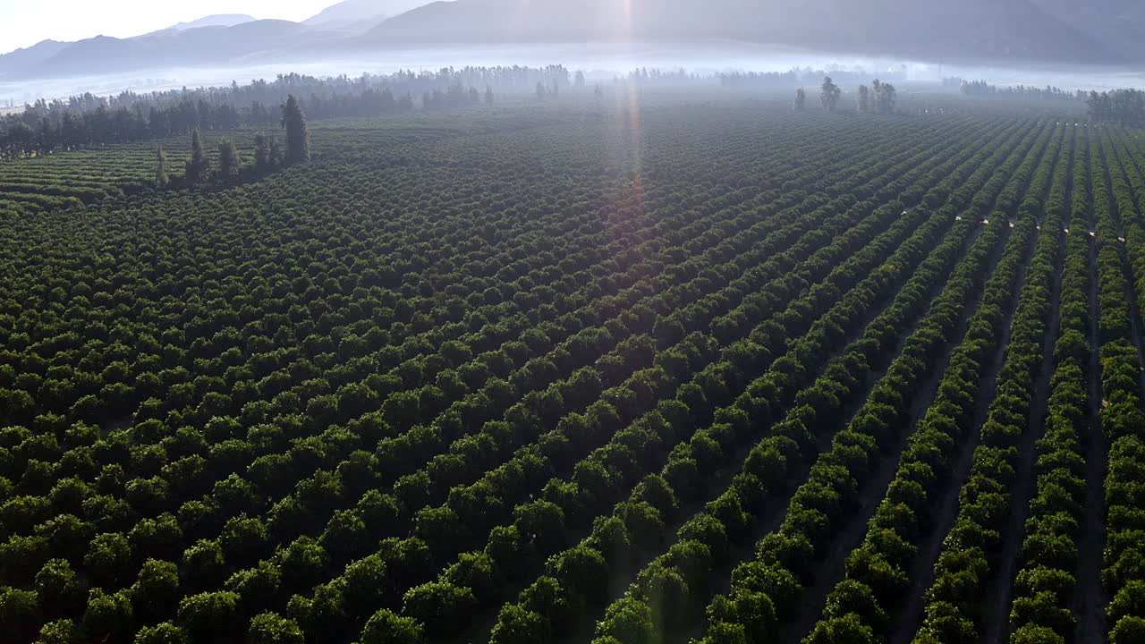 The bounties of nature